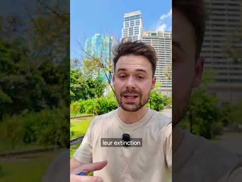 pk les usa parachutent des souris sur cette ile ?