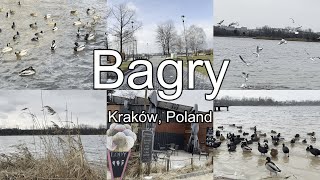 Jezioro Bagry (Zalew Bagry) || Kraków, Poland || Winter || 2023