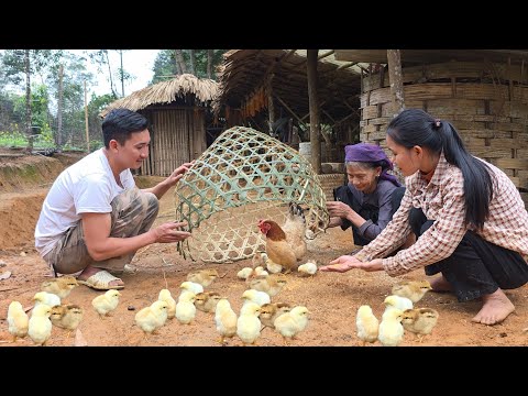 The old woman had built a very beautiful chicken coop, which surprised Jack and Tieu Ly greatly.