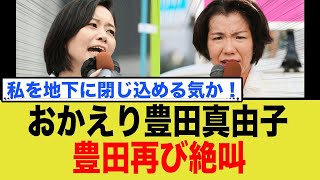 【豊田真由子vs梅村みずほ】参政党で仁義なき女の戦い勃発！「私を地下に閉じ込める気か！」と絶叫再び？