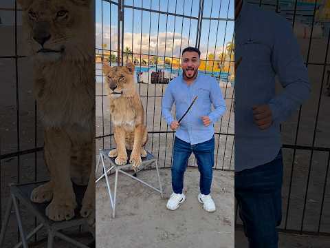 يمكن ماما لالالا😂😂