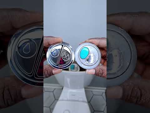 Easy Dual Flush Push Button Replacement - #shorts