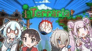 【Terraria】初見テラリア生活3日目【#わい2NH】