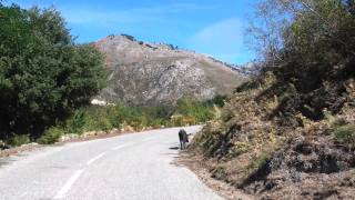 Urlaub 2011 - Korsika Trabi8