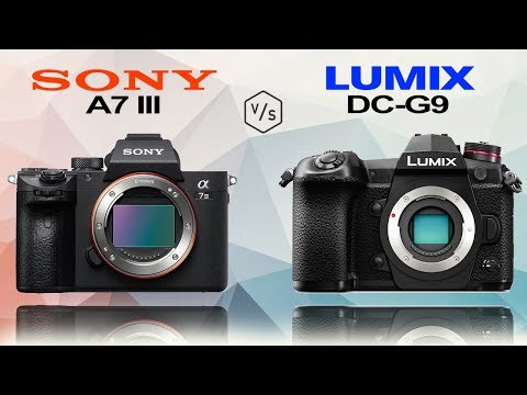 SONY Alpha A7 III vs Panasonic LUMIX G9