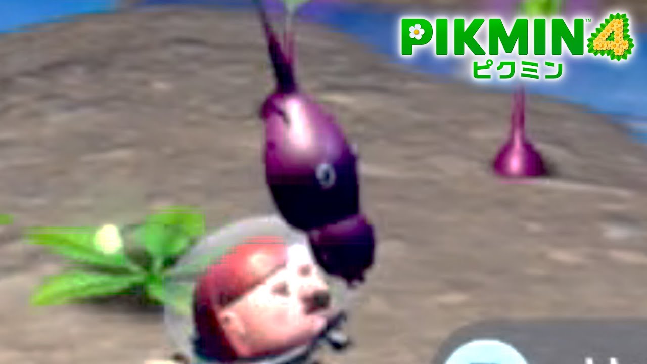 ムラサキガテン土方【ピクミン4】