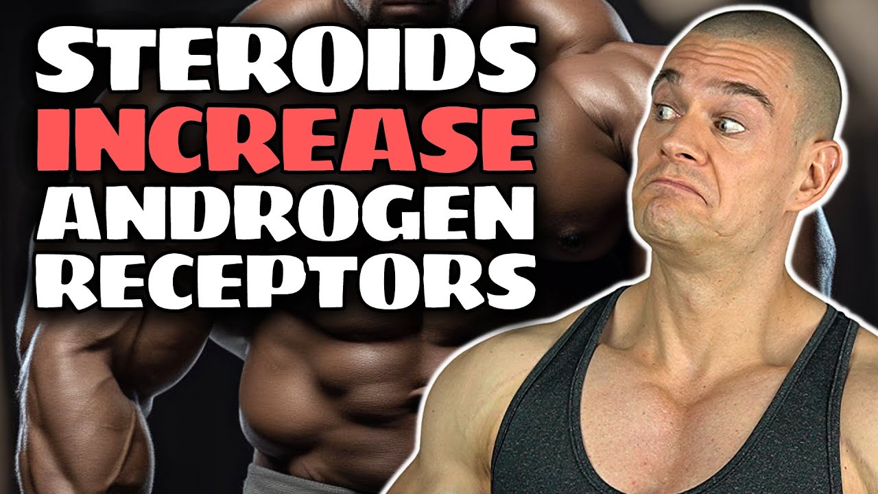 Androgen Receptor Downregulation? (Separating FACT From FICTION) Debunking Broscience