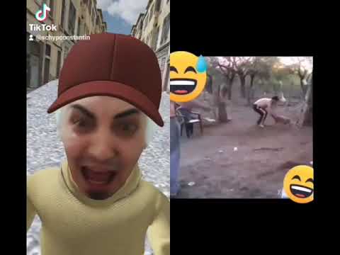 pamfler🤣 caterincă #Costică #mistrețul