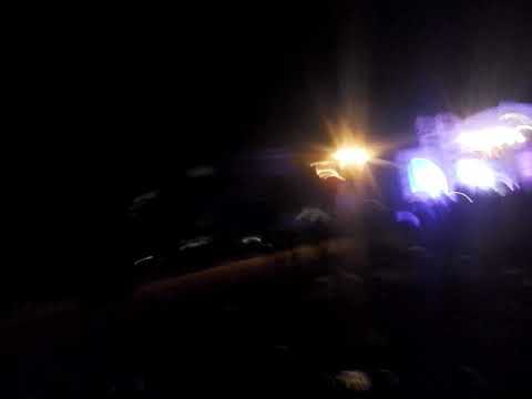 wali band di tangerang