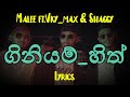 ගිනියම් හිත් Giniyam Hith Lyrics Malee Ft Vky Max Shaggy