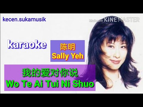 Wo Te Ai Tui Ni Shuo - Sally Yeh karaoke 我的爱对你说 - 陈明