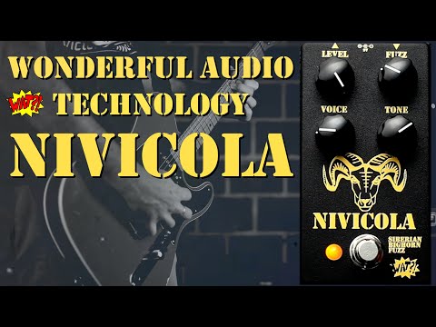 Nivicola - Wonderful Audio Technology image 7