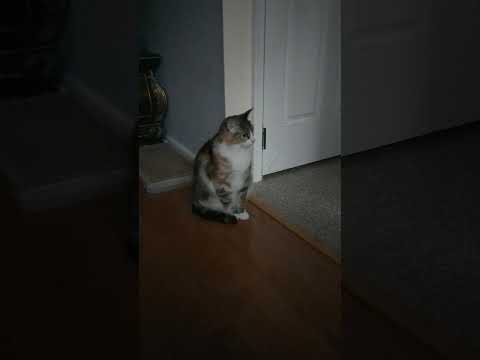 JunJun waiting for her friends/ Early morning routine 😍🥰😘