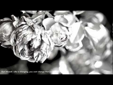Karl Moestl - Life is Changing, You Can´t Change That