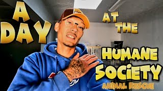 Saving Lives inside the Humane Society: A Day Behind the Scenes as an Animal Rescuer