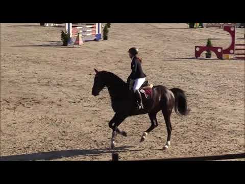 Renata B v. Regilio - Silvio (Wertnote 8,6!)