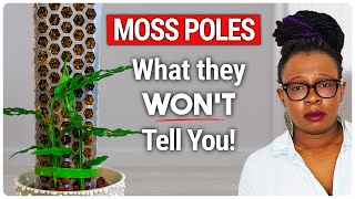 EXPERTLY Use A Moss Pole For Plants (They Won't Tell You This!)