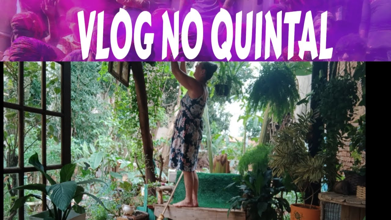 VLOG  NO QUINTAL