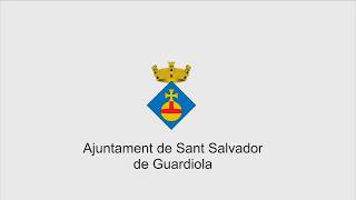 Sessió plenària ordinària dimecres 8 de juliol de 2026