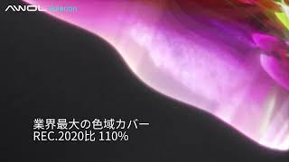 Pro2で楽しむ、プレミアム大画面体験