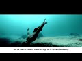 Glenfiddich The Diver
