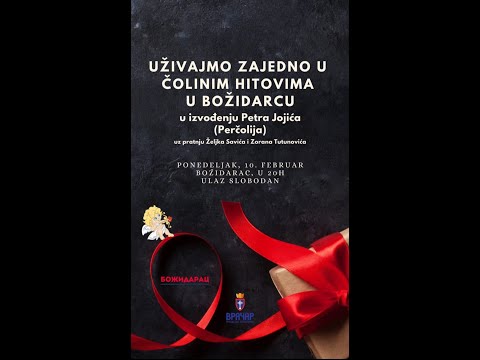 Petar Jojic - Koncert - (LIVE) - (ZDRAVKO COLIC TRIBUTE) 10.02.2020.