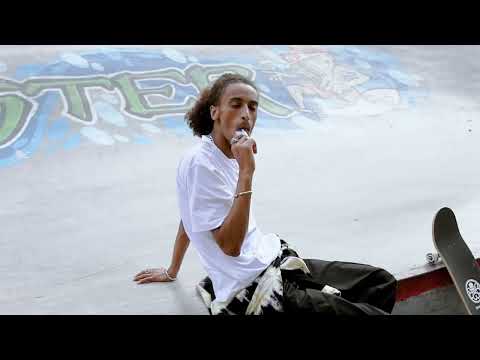 CCELL | How to use the Palm Pro