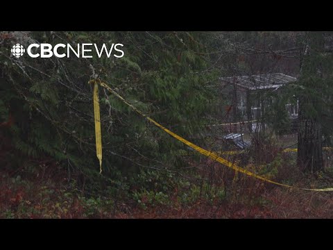 Pilot dies in small plane crash near Nanaimo on Vancouver Island