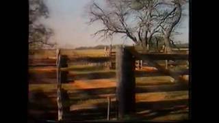 Johnny Cash: I wish I was crazy again