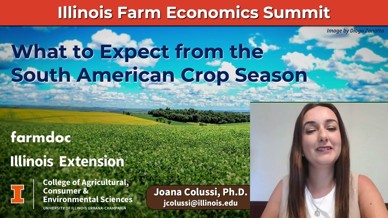 IFES: What to Expect from the South American Crop Season