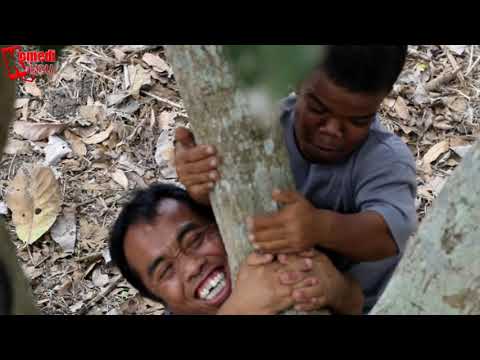 ketangkap-mencuri-buah-mangga-sama-pemilik-nya-sarip-di-lempar-ke-kolam-ikan-komedi-lucu