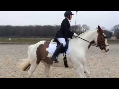 Speedgate Combined Training 25/03/18 - dressage phase