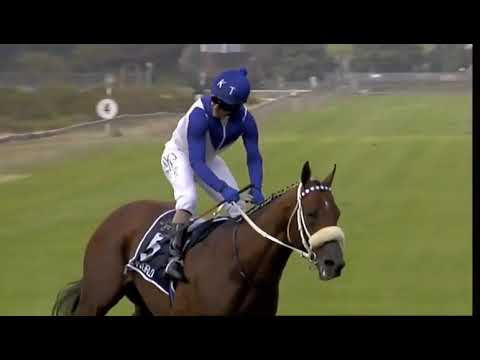 ONE WORLD – 2020 02 01 – Kenilworth – Gr1 SUN MET