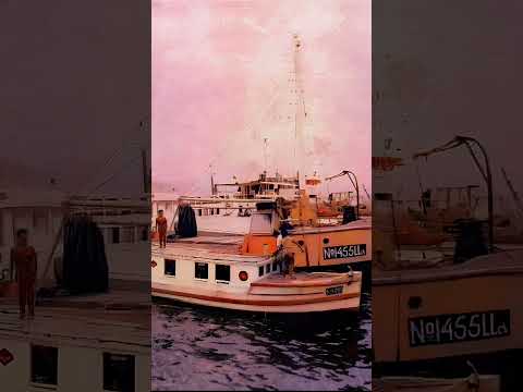 Bang Elmondo - Kacang Lupa Kule