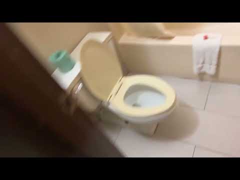 Super 8 Motel Room Review - VERY Dirty Smelly Roaches