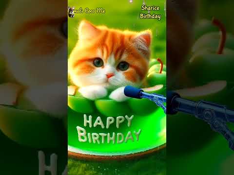 SHARICE BIRTHDAY | HAPPY BIRTHDAY SONG WITH NAMES | Adorable Cute Cat 😺 #cat #cute #happybirthday