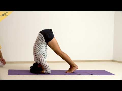 Halbe Kopfstand-Pose - Yoga Asana Lexikon