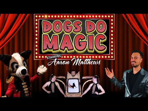 Demo Dogs Do Magic
