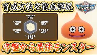 DQM4 序盤から最強モンスター作成のやり方！新システムでより効率的に！知って得する育成内容！ドラクエモンスターズ4 ビアフロ 攻略【メイルス】