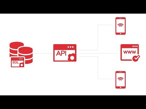 Meta and SOLID Principles in C# Video Series - API in C#