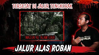Download lagu TERSESAT DI JALUR TENGKORAK ALAS ROBAN! Saat TERSESAT KAMI MASUK KE DIMENSI LAIN! mp3 Download lagu TERSESAT DI JALUR TENGKORAK ALAS ROBAN! Saat TERSESAT KAMI MASUK KE DIMENSI LAIN! mp3