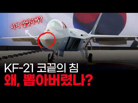멀쩡한 걸 왜 없애요? KF-21 보라매 시제 1호기의 상징이 사라진 이유를 파헤쳐보니