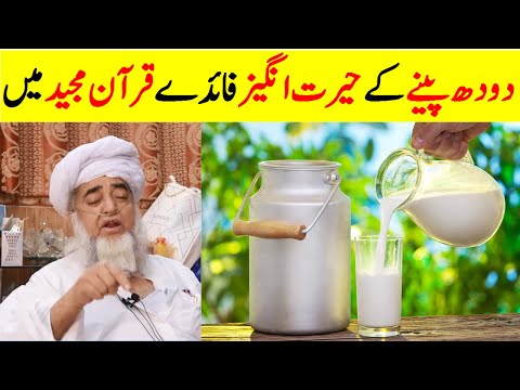 Amazing benefits of drinking camel milk | Doodh kay faiday | Mufti Zarwali Khan Official
