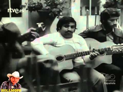 HANSCHE WEISS & TITI & ZIROLI & HOLZEMANNO WINTERSTEIN & HOJOK MERSTEIN