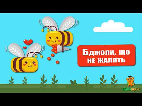 🍀 Дива природи. Явища навколо нас. Бджоли, що не жалять 🌏