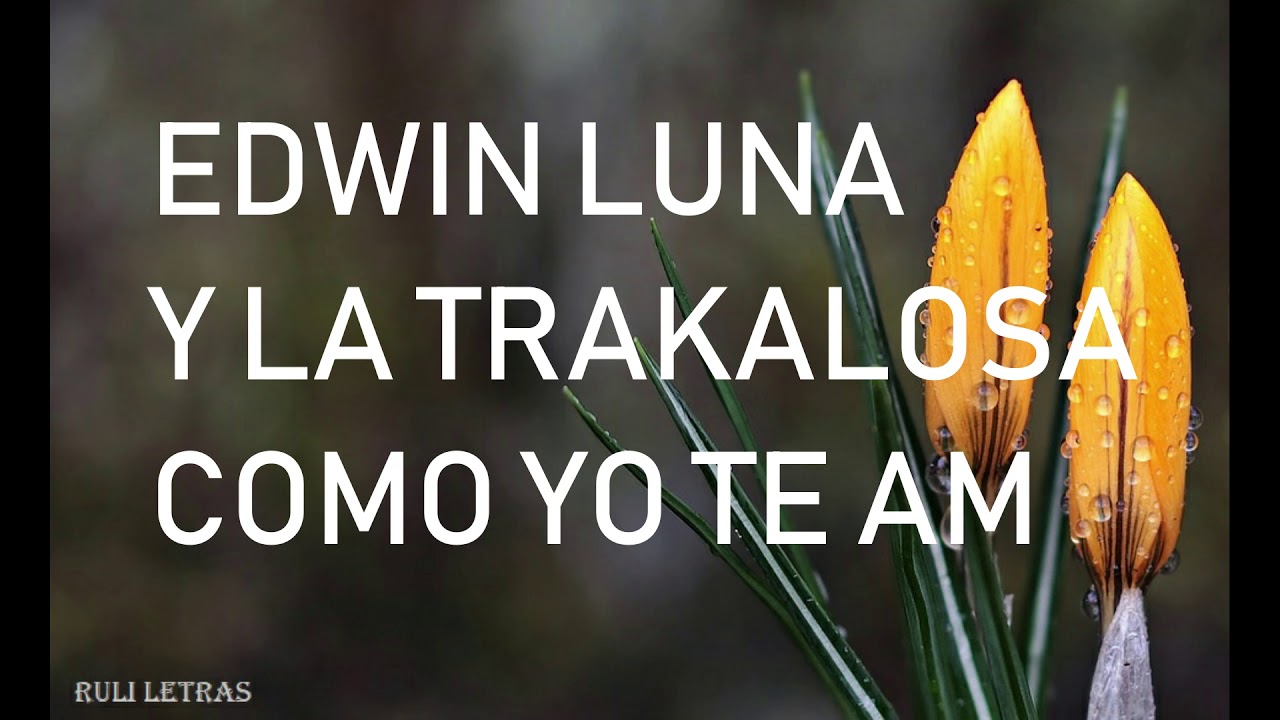 Como Yo Te Amo - Edwin Luna Y La Trakalosa (Letra) (Lyrics)