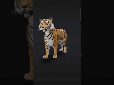 blender 3d tiger Vfx animation