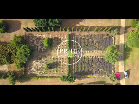 Lavandula Swiss Italian Farm: Lavenda Harvest Festival 2020