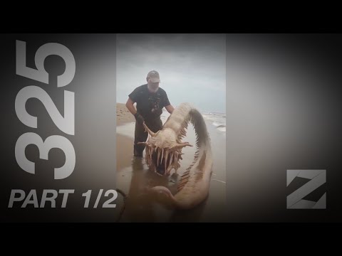 iZap4u – Zap 325 (Short Edit) Part 1/2