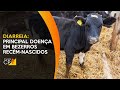 Curso Administração da Pequena Empresa Rural